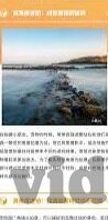 大象一二三区别视频-探索大象，从一到三的奇妙旅程——视频揭秘
