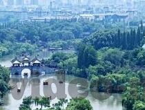dxdztop大象传媒-探索Dxdztop大象传媒的独特魅力与行业影响