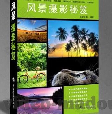 久久在线中文字幕-久久在线中文字幕，探索影视娱乐的多元文化桥梁