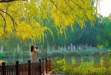 麻豆视频app大全-探索麻豆视频App，满足你多元娱乐需求的综合平台