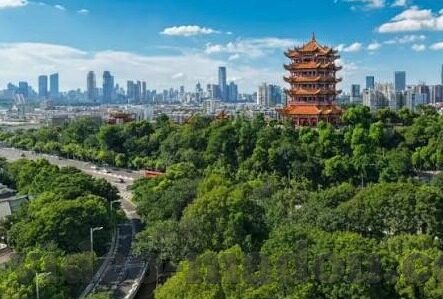 麻豆网站传媒-麻豆网站传媒的数字影像世界，重新定义视觉叙事