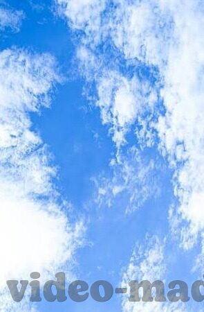 人妻激情文学-点燃生活火花，人妻激情文学的细腻篇章