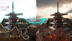 糖心直播app怎么样-全方位解析，糖心直播app的特性和用户体验